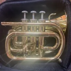 Item thumbnail for item bac629dd-ed1b-4182-a816-23616011bb59