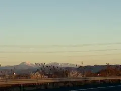 Item thumbnail for item 61964eba-c4fb-44a8-b468-6b59a209f39f