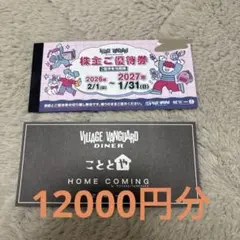 ★SAI出品★　ヴィレッジヴァンガード　優待券　12冊 ヴィレッジヴァンガード株主優待券（1000円）1冊（12枚） ～27年1月の