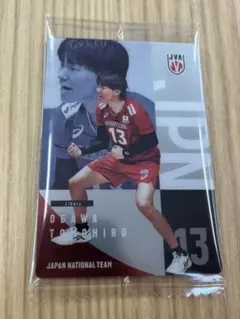 バレーボール男子日本代表 ツインウエハース 2026 小川智大