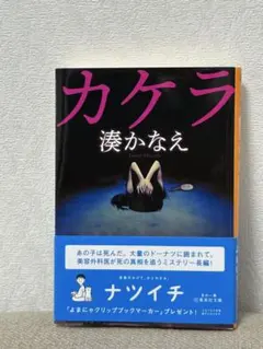 Item thumbnail for item ac0b0a33-7eb2-47e8-b299-73f277b27052