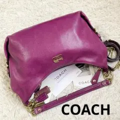 美品 vintage coach old archive y2k MADISON