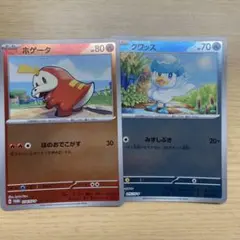 ホゲータ：ポケカの夏がキタ！プロモカードGetキャンペーン！