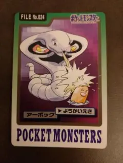 寶可夢 阿柏怪 卡牌 024