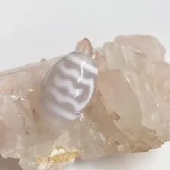 わっちっち様 リクエスト 2点 まとめ商品