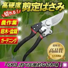 2025年最新】盆栽 鋏の人気アイテム - メルカリ