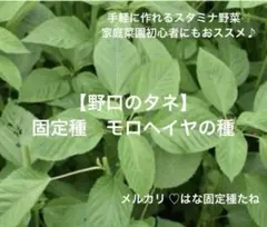 yasubee様 リクエスト 18点 まとめ商品