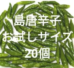 無農薬　島唐辛子　青唐辛子　20個　お試し　④のサムネイル