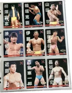 ９６年プロレスカード９枚セット　連番