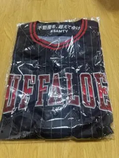 Item thumbnail for item 3c16eeb6-d552-4402-92e7-f6c756a3356c