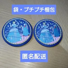 Disney Characters 刺繍缶バッジ ディズニー シンデレラ