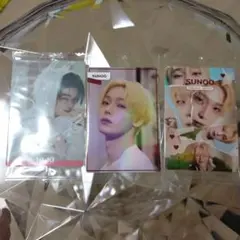 ENHYPEN NIKI SUNOO カードセット 限定版 ウエハース