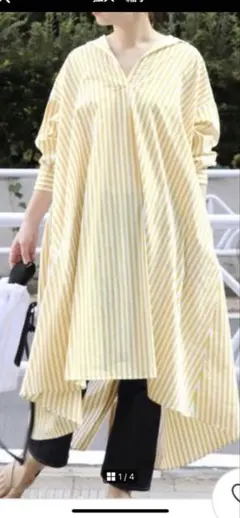 ジャーナルスタンダード　カラーストライプバックボタンAラインワンピース