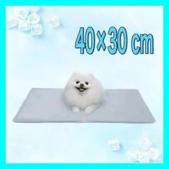 Item thumbnail for item 2789934a-09e3-484f-8ad0-fdef47f256d7