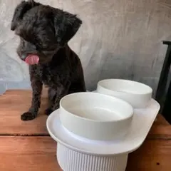 Item thumbnail for item fbdd1420-794c-4275-bd45-eaa2557839eb