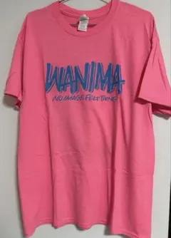 WANIMA ピンク Tシャツ ワンチャンスLサイズ