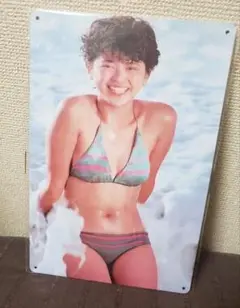 【新品未開封】小泉今日子 ブリキ看板 グラビア レア セクシー 水着 レトロ