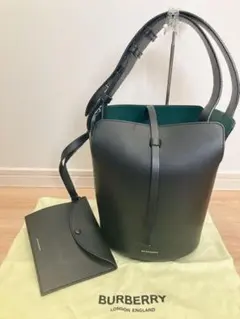 Alexander McQueen バケットバッグ ダークグリーン - メルカリ