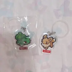 ⌇pokemon⌇めじるしアクセサリー ペットボトル フシギダネ イーブイ