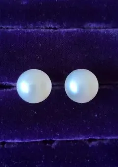 本真珠　淡水パール　ピアス シンプル 12~13mm