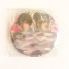 真・三國無双８ ホログラム缶バッジ Vol.2（シークレット）