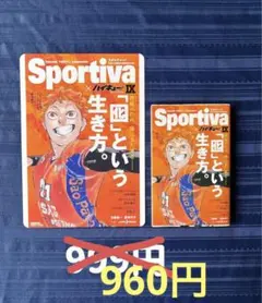 ハイキュー スポルティーバ ショーセツバン 9巻 ビジュアルボード 日向翔陽