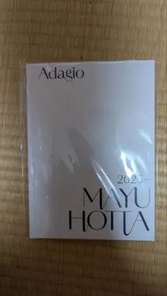 堀田真由　Adagio 写真集