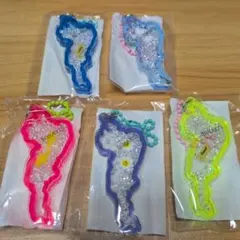 BIWAKO 琵琶湖 アクリルキーホルダー 5色セット