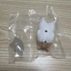 あにまる幽体さんぽ　こぎたま　　コーギー 犬　dog