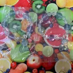 ポケモン ドリーミィブレス ロコン(アローラのすがた) 2個セット