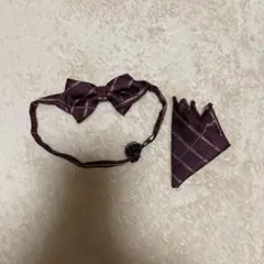 バーガンディ チェック柄 蝶ネクタイとポケットチーフ　コムサ