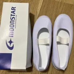 (新品未使用)ムーンスター　ビニールバレー　白ホワイト　20.0cm