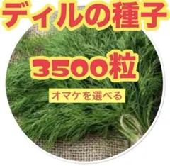 やまちゃん様 リクエスト 2点 まとめ商品