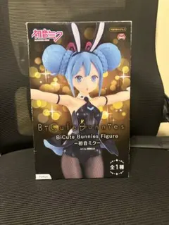 2026年最新】初音ミクバニーガールの人気アイテム - メルカリ