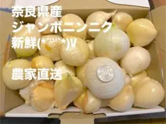 新鮮！奈良県産　ジャンボニンニク5キロ‼︎のサムネイル