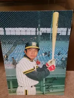 直筆サイン色紙　掛布雅之　藤田平　佐野仙好 2025年最新】佐野仙好の人気アイテム - メルカリ