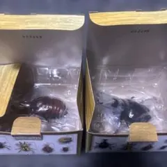 一番くじ昆虫 H賞デスクトップ昆虫フィギュア 1 カブトムシ 3 サナギのサムネイル