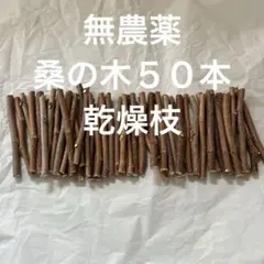 Item thumbnail for item 74f7f21e-806b-492b-878b-05085e1edbf9