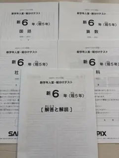 2025年最新】sapix 入室テストの人気アイテム - メルカリ