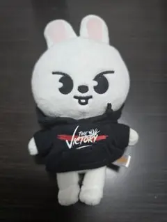 Straykids SKZOO リノ Amazon.co.jp: Stray Kids スキズ リノ skzoo ポラロイド トレカ