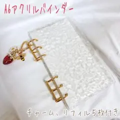 アクリルバインダー saving 貯金 A6 リフィル ミツバチ付いちごゴールド