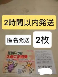 東京ドイツ村チケット2枚　匿名　入場ご招待券