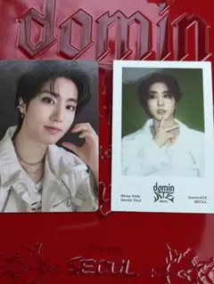 StrayKids スキズ ソウルコン 流通特典 トレカ ポラ