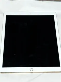 iPad Pro 12.9 2世代 ゴールド セルラーモデル 64GB ジャンク