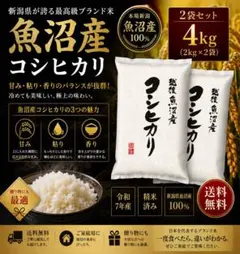 令和7年産 魚沼産コシヒカリ 4kg (2kg×2袋) 精米済み
