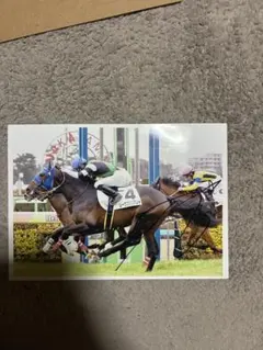 舟山瑠泉騎手 直筆サイン入り写真 A4 競馬 - メルカリ