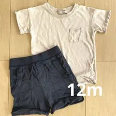 1+ in the family Tシャツ&ショートパンツ　12M