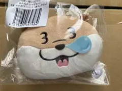 可愛い嘘のカワウソ ぬんぬんおやすみくじ - メルカリ