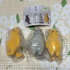 虚無。猫 纏 まとい 灰猫 黄猫 セット