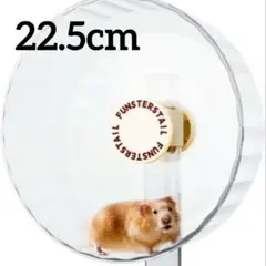 Item thumbnail for item 8b452735-9825-405a-ac36-0a694f07f93a